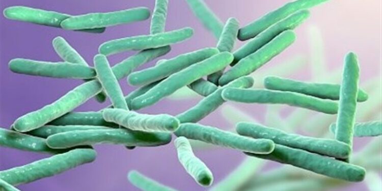 شناسایی ۷ بیمار جدید مبتلا به “جذام” در ایران/ علائم جذام چیست؟